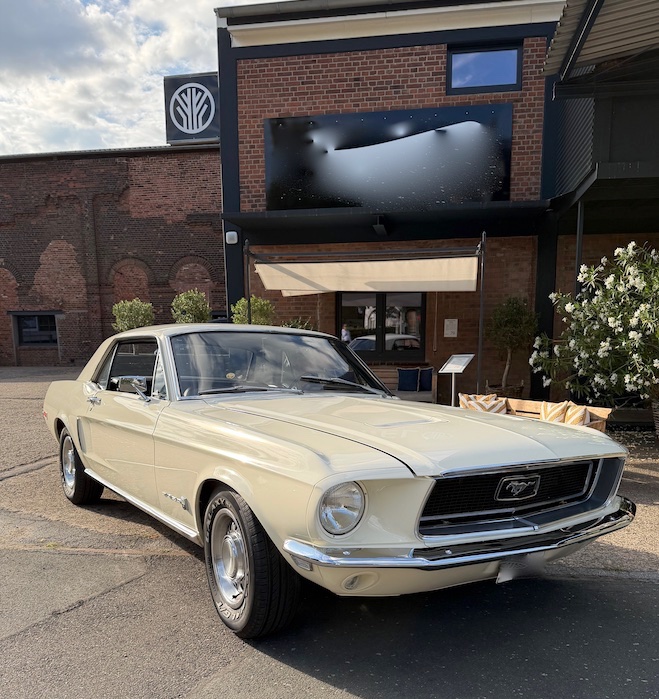 Mustang 5.jpg