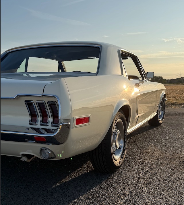 Mustang 1.jpg
