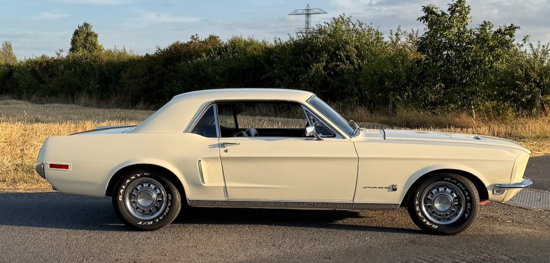 Mustang 2.jpg