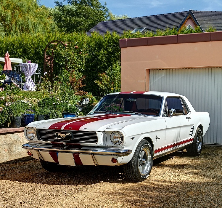 Mustang-01-anon.jpg