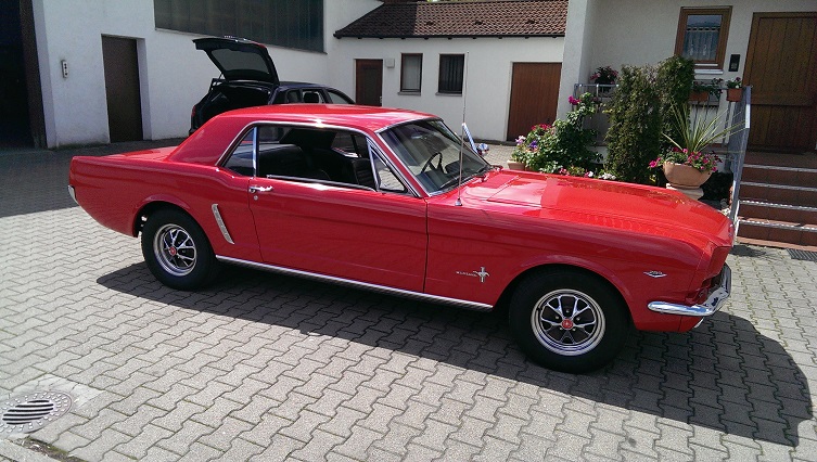 das ist das Pferdchen