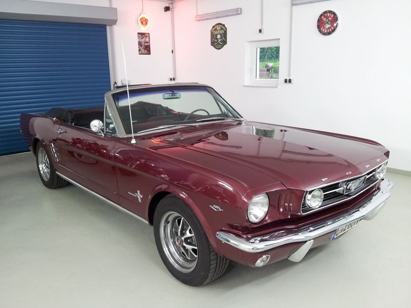 Mustang.jpg