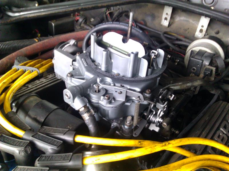 IMG_20140726_154916 (Individuell).jpg