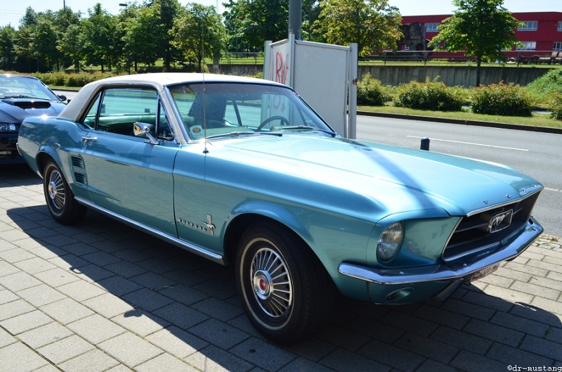 Mustang1.OB.2014.jpg