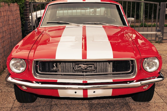 DSC_6580_1 (1).jpg