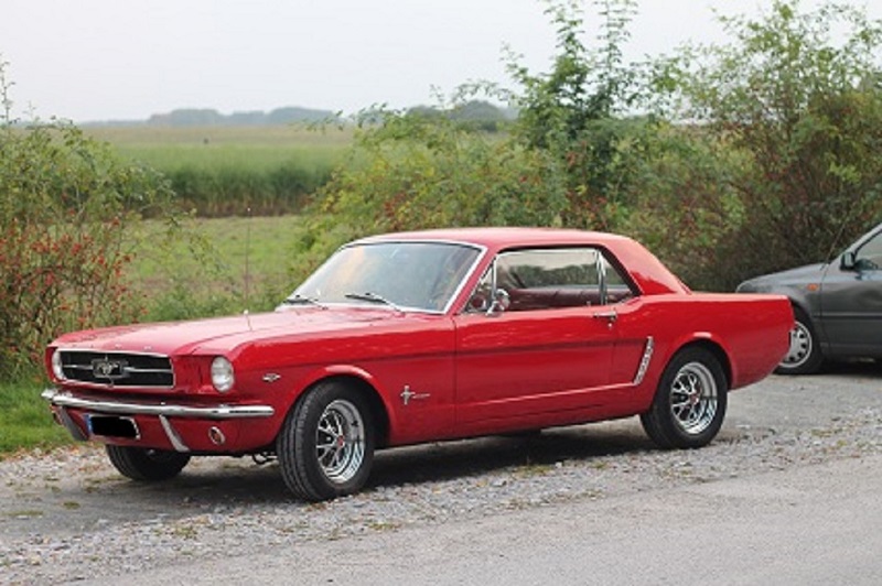 Mustang.jpg