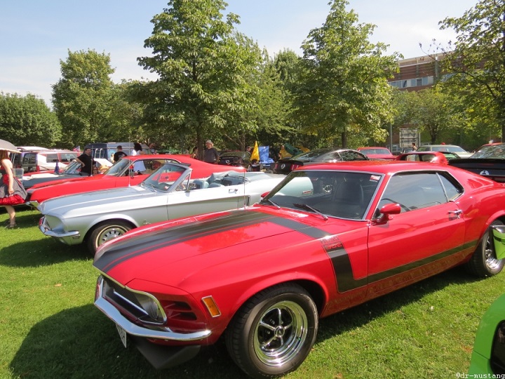 Eagle1.Mustang1970.jpg