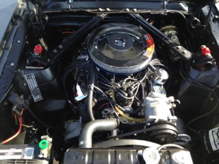 image8.jpeg