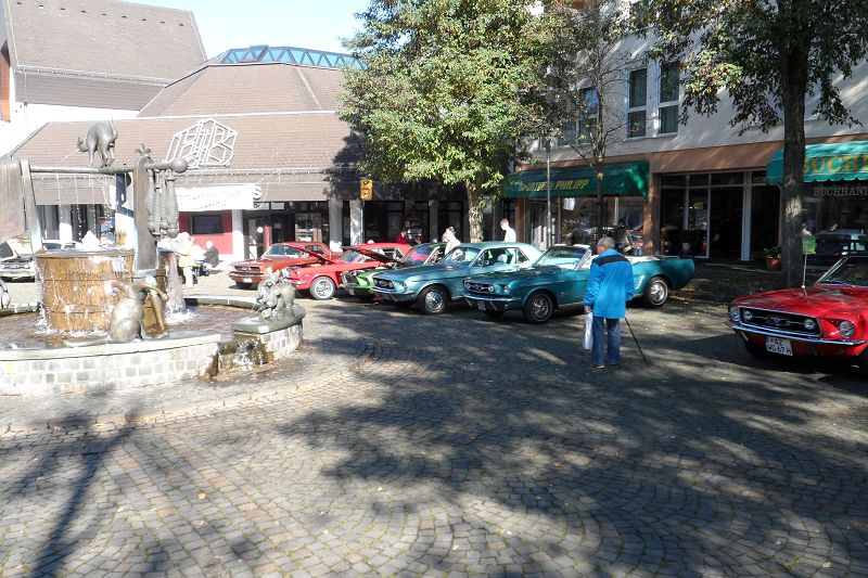 Die Ponys stehen