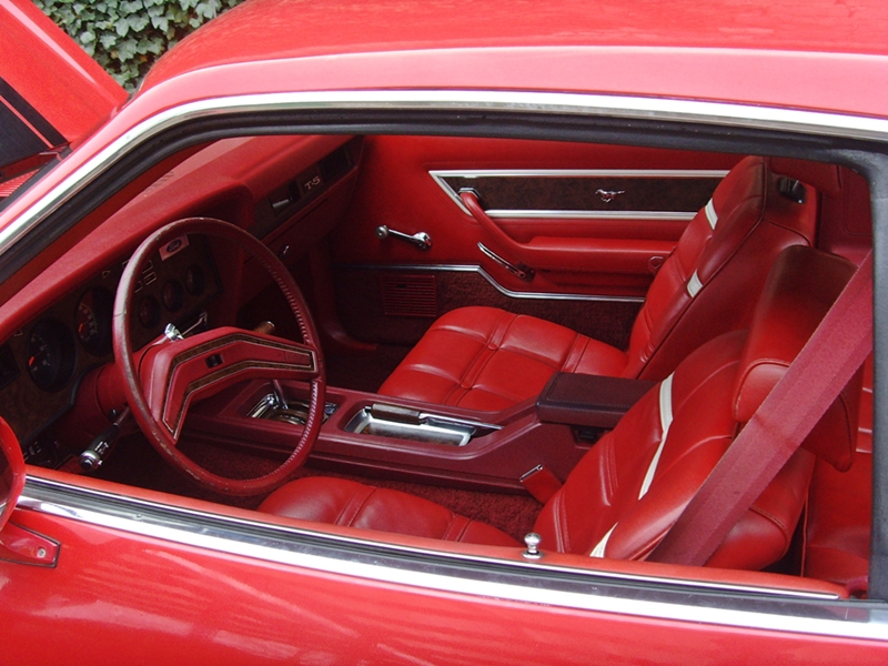 Mustang II.JPG