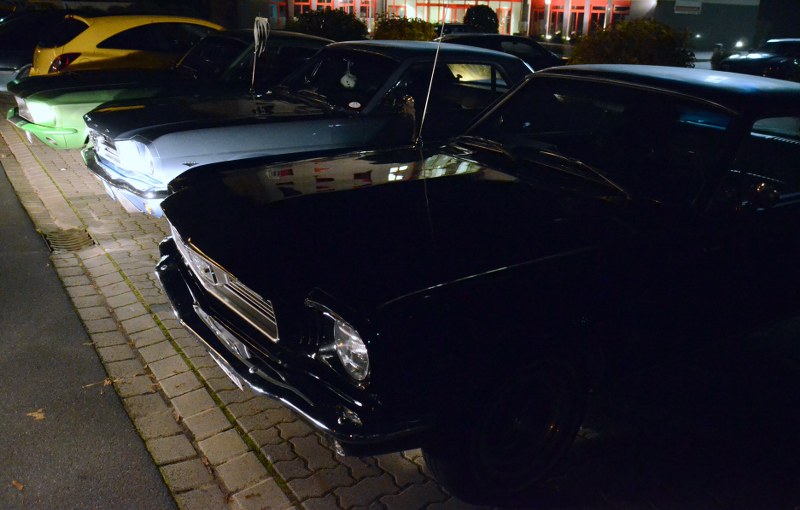 DSC_3700_800x510.JPG