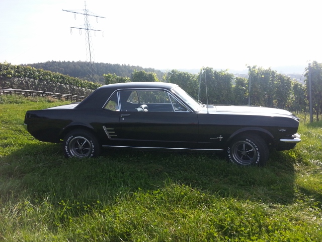 20140928_161803 (640x480).jpg